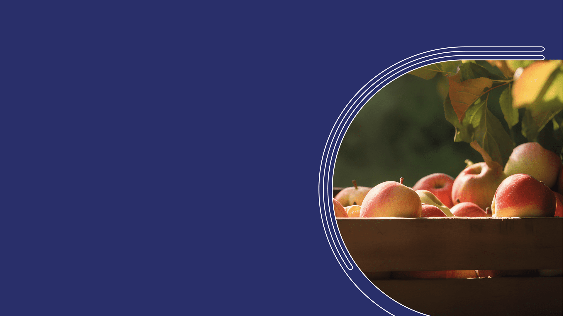 Shopping For Logistics